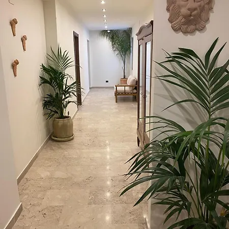 Taga * קטאניה